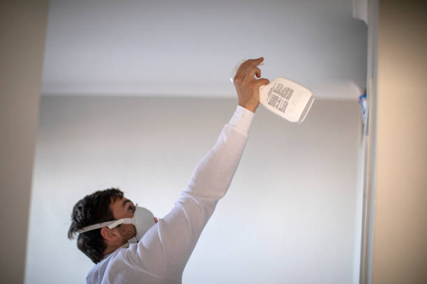 Best Localized Mold Remediation (e.g., coastal areas, humid climates) in Pearl Beach, MI