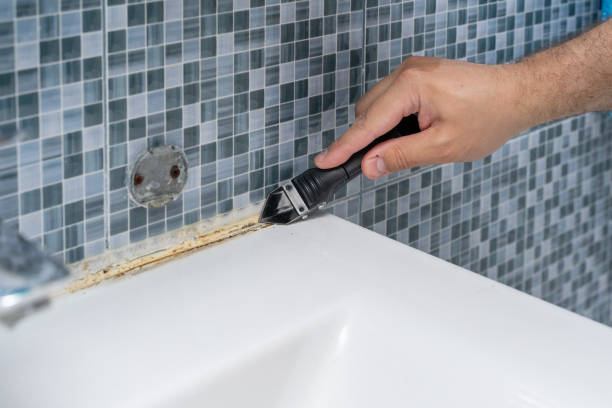 Best Industrial Mold Remediation in Pearl Beach, MI